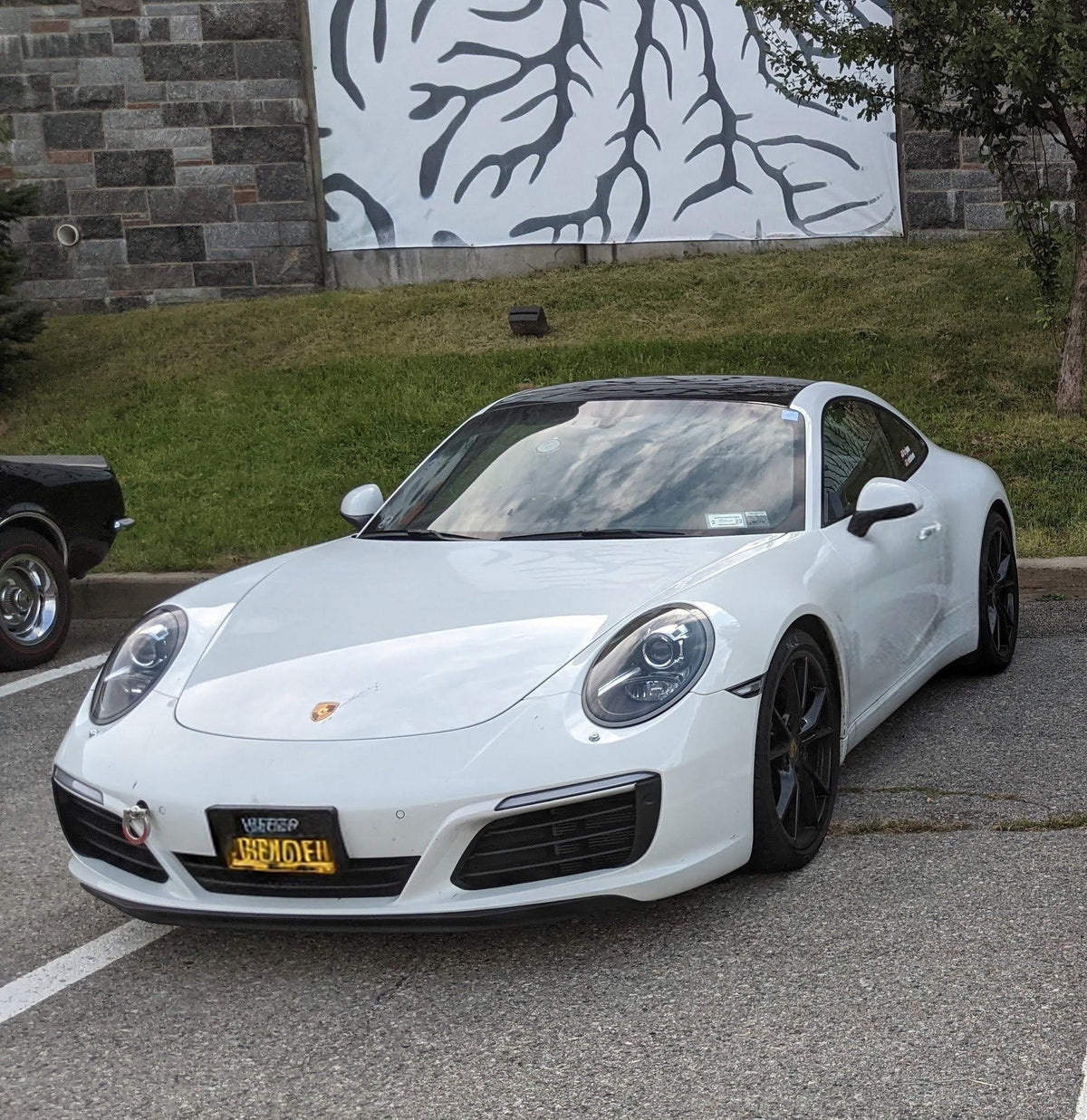 Porsche 911 Carrera (991 7-Speed Manual)